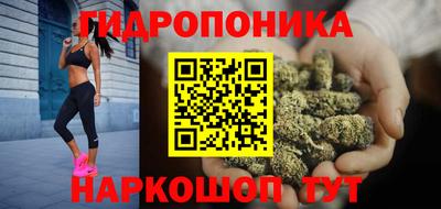 шишки Славянск-на-Кубани