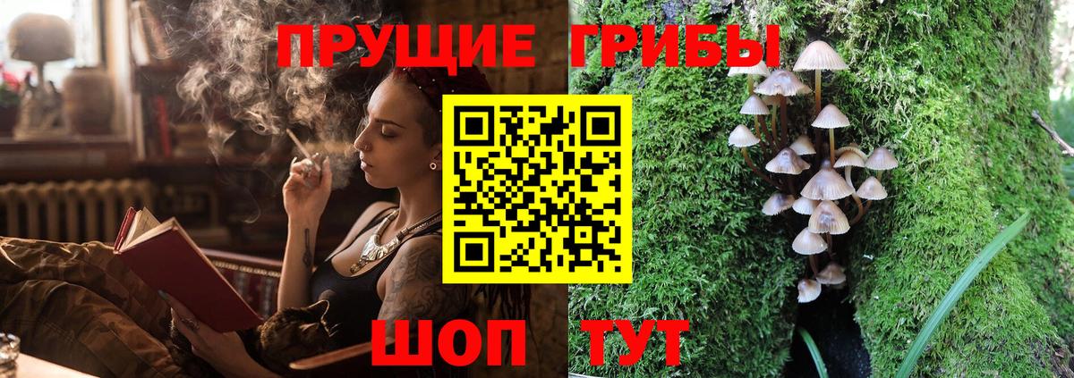 дарнет шоп  Вход с VPN  Нарткала  Галлюциногенные грибы мухоморы 